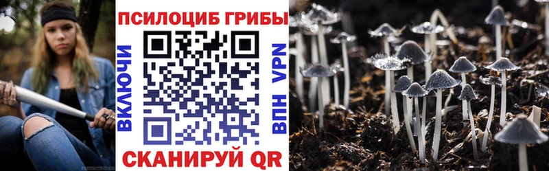 Псилоцибиновые грибы мицелий  где можно купить наркотик  Чишмы 